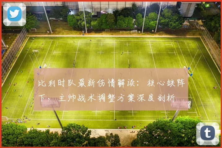 比利时队最新伤情解读：核心缺阵下，主帅战术调整方案深度剖析