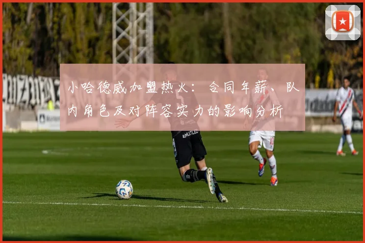 小哈德威加盟热火：合同年薪、队内角色及对阵容实力的影响分析